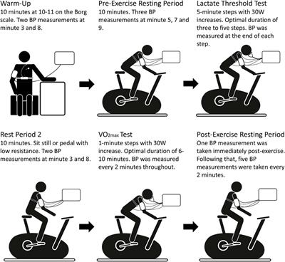 Blood Pressure Response and Pulse Arrival Time During Exercise Testing in Well-Trained Individuals